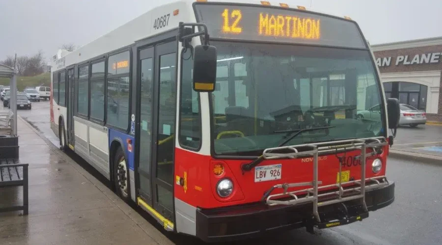 Saint John Transit Adding Dozen New Buses To Its Fleet