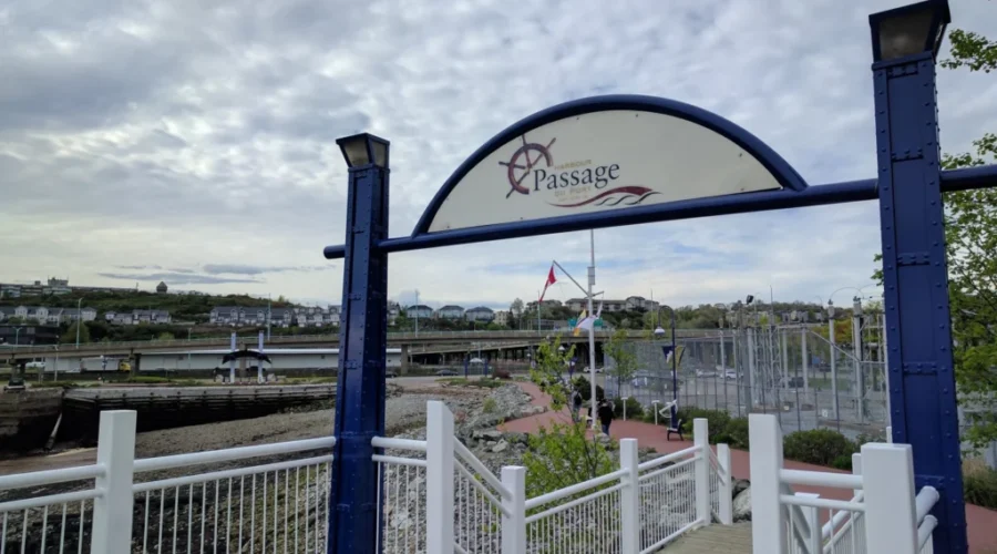 Debris Collected During Harbour Passage Cleanup To Be Recorded