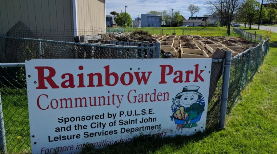 Volunteers Give Rainbow Park Community Garden A Makeover