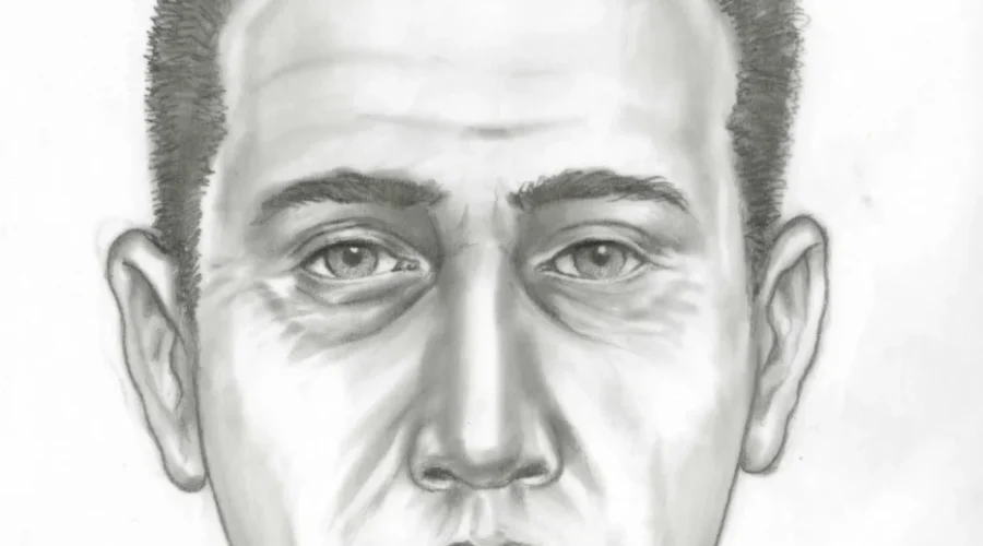 12 Years In Prison For A Spree Of Armed Bank Robberies