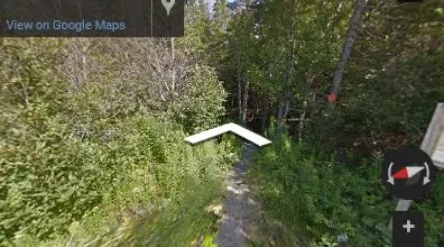 Nature Conservancy Of Canada Launches Virtual Hikes