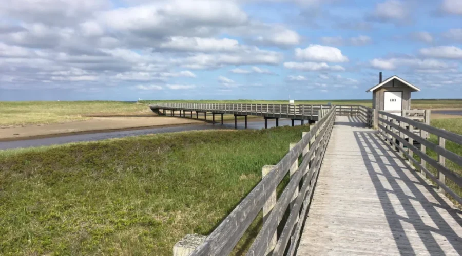 Summer Officially Arrives In NB