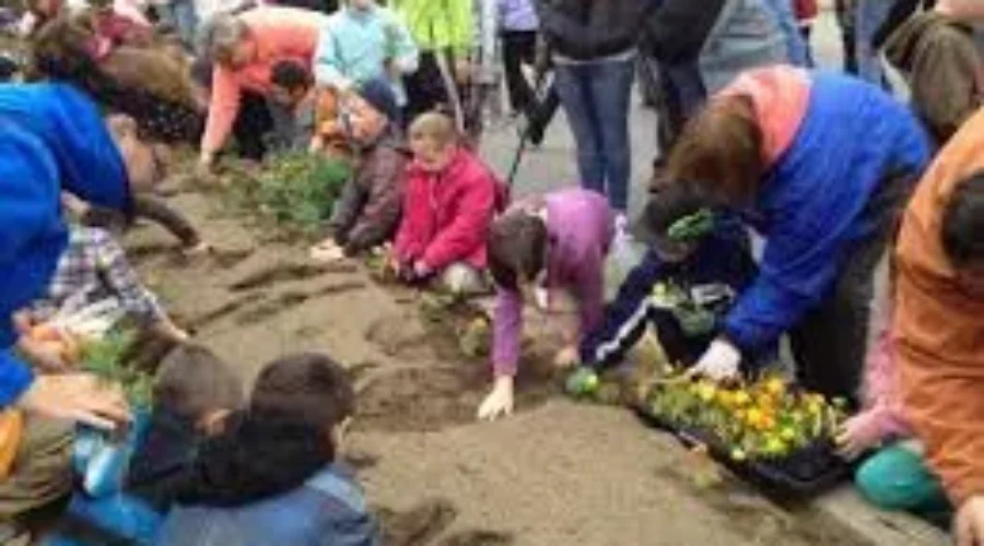 Students Start Planting Marigolds