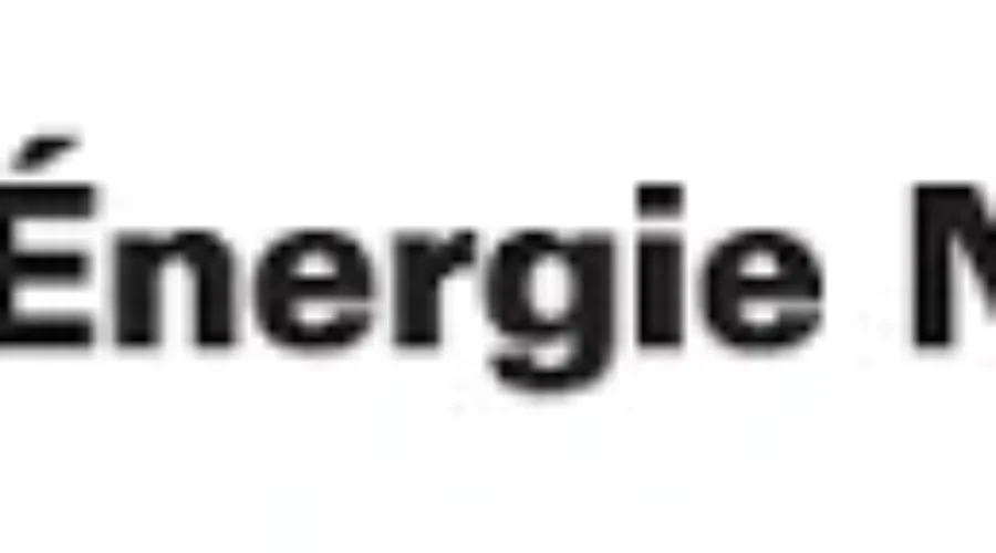 NB Power Falls Short On Financial Target