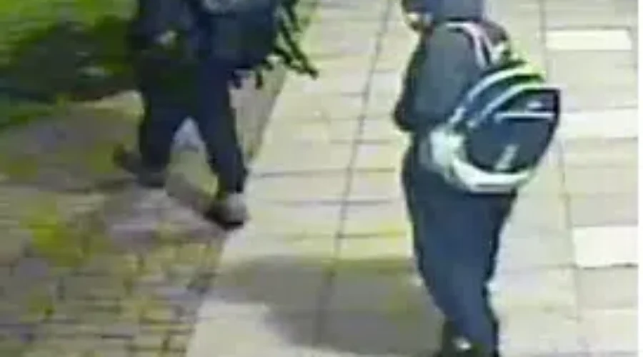 Double Scoop Of Justice: RCMP Seek Public’s Help In Ice Cream Parlour Break-In