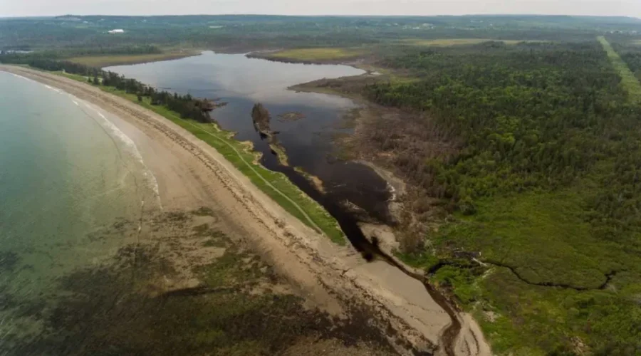 Grand Manan Area Becomes Newest Conservation Site For Nature Conservancy