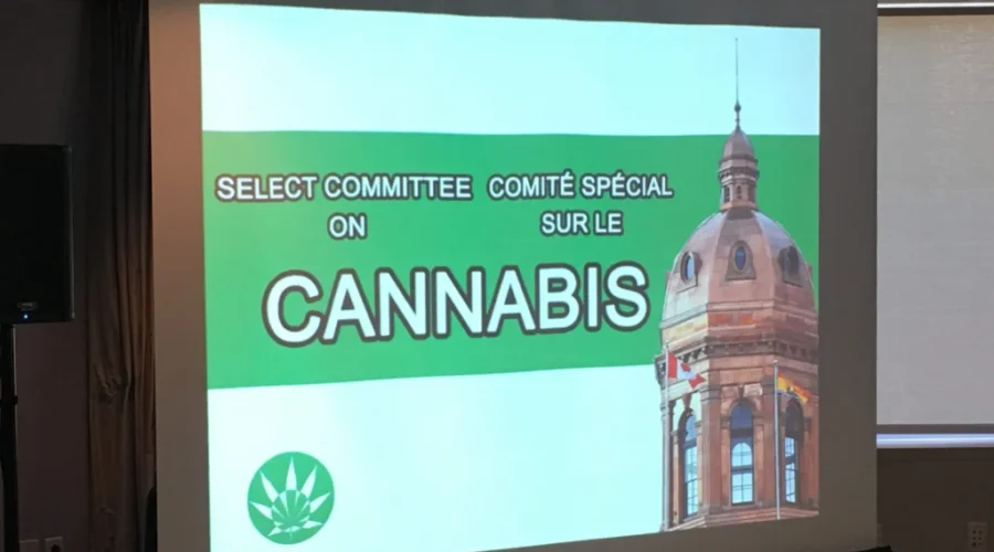 Organigram Supports Proposal To Sell Recreational Marijuana Through Crown Corporation