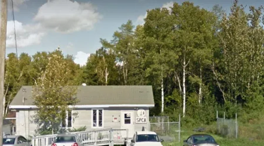 Drug Stolen From Restigouche SPCA Could Be Lethal