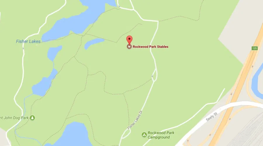 Rockwood Park Stables Vindicated After Inspection Into Animals, Facility