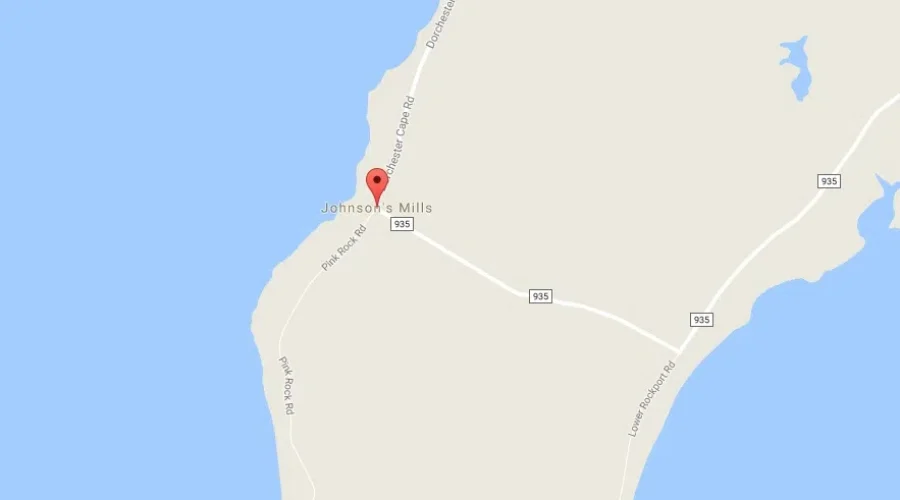 Thousands Of Sandpipers Return to Johnson’s Mills Shorebird Interpretive Centre