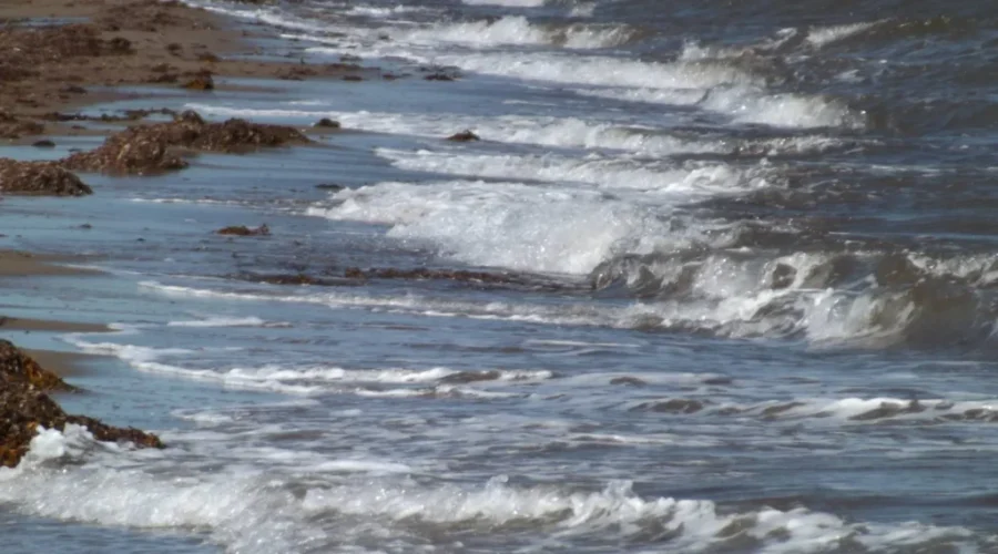 RCMP Confirm Drowning Victim From Riverview
