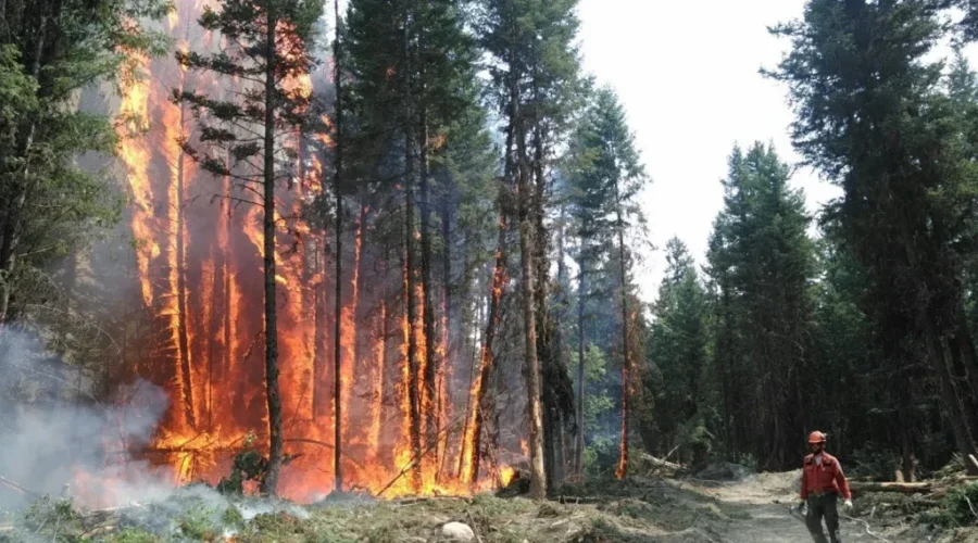 Wildfires Continue To Burn Out Of Control In British Columbia