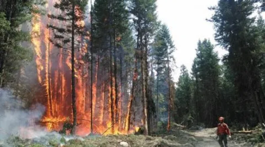 New Brunswick Sending Firefighters To British Columbia