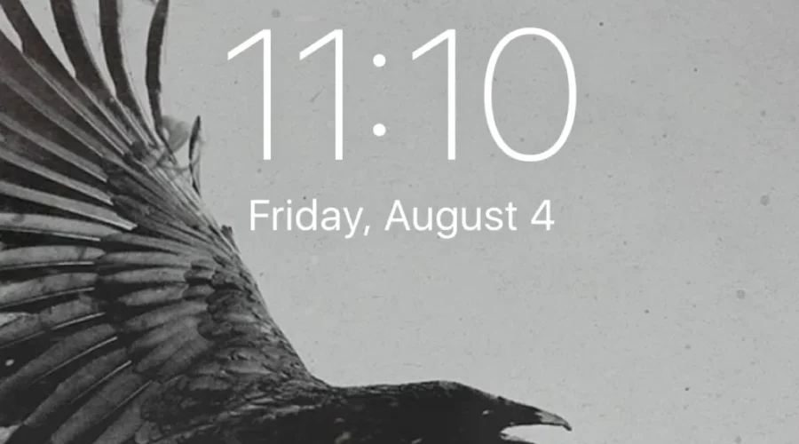 “I Expect Much More Of Bell”: Communications Advocacy Group Spokesperson Meghan Sali