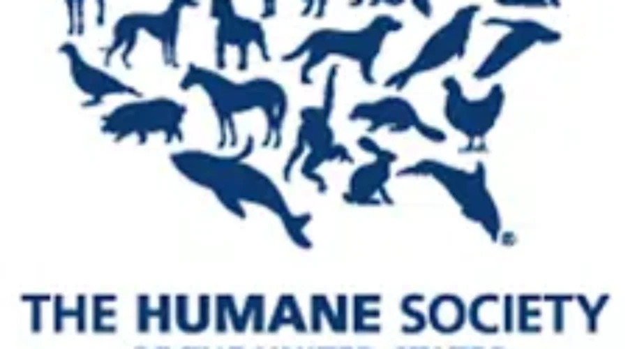 Pets And Humans Are Suffering In The Houston Area