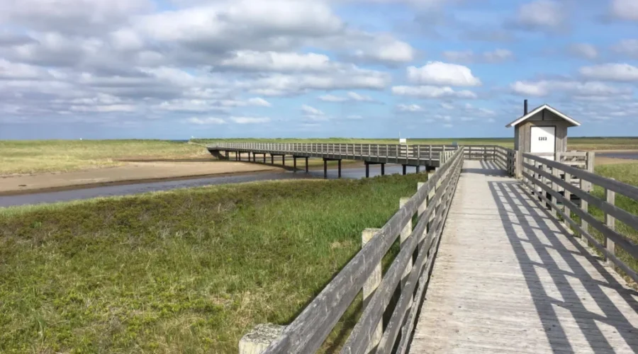 Open Fires Banned In Kouchibouguac National Park