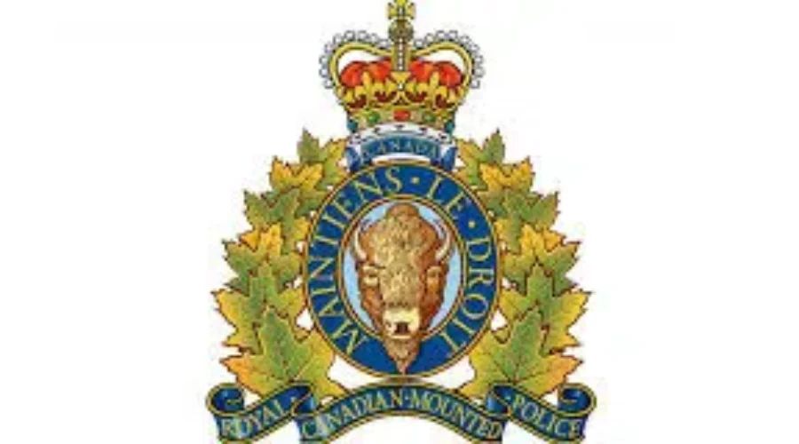 Two People Dead In Separate Head-On Collisions Near Shediac