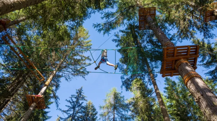 Treetop Park Planned For Saint John