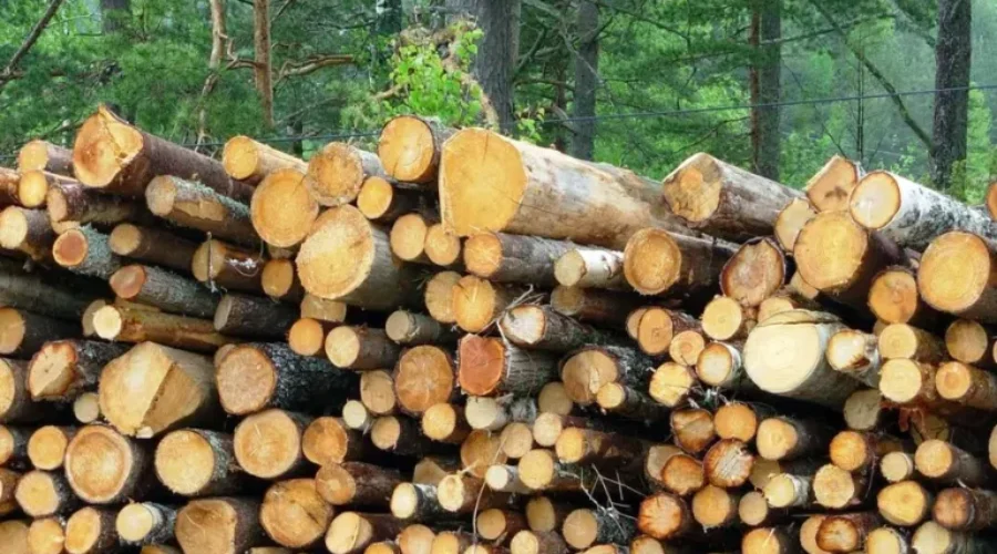Softwood Lumber Decision Postponed
