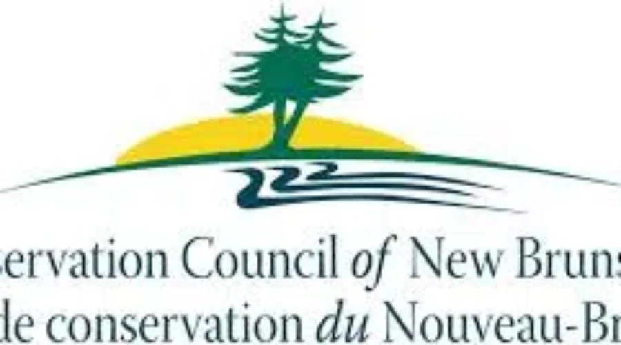 CCNB’s Fundy Baykeeper concerned with process for Energy East pipeline