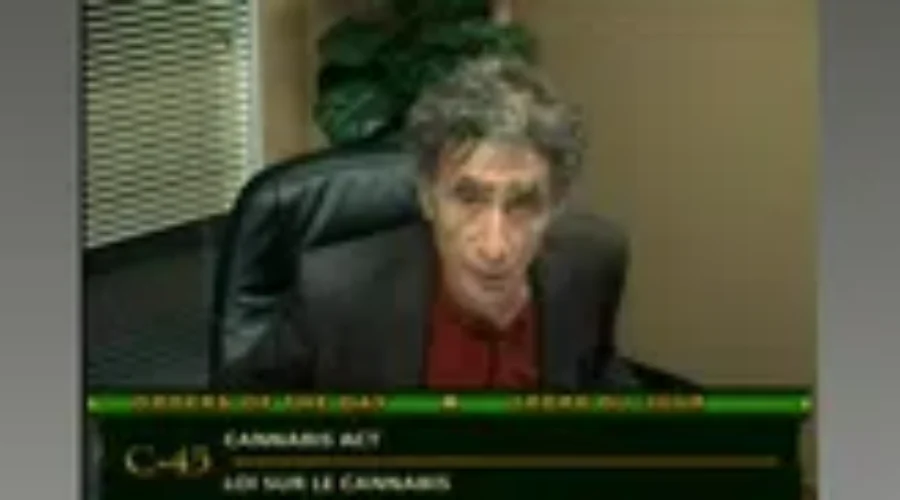 Addictions Experts Speak To Marijuana Committee