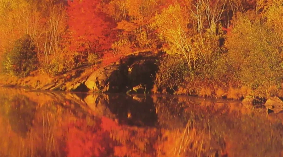 Fall Tourism Season Underway In NB