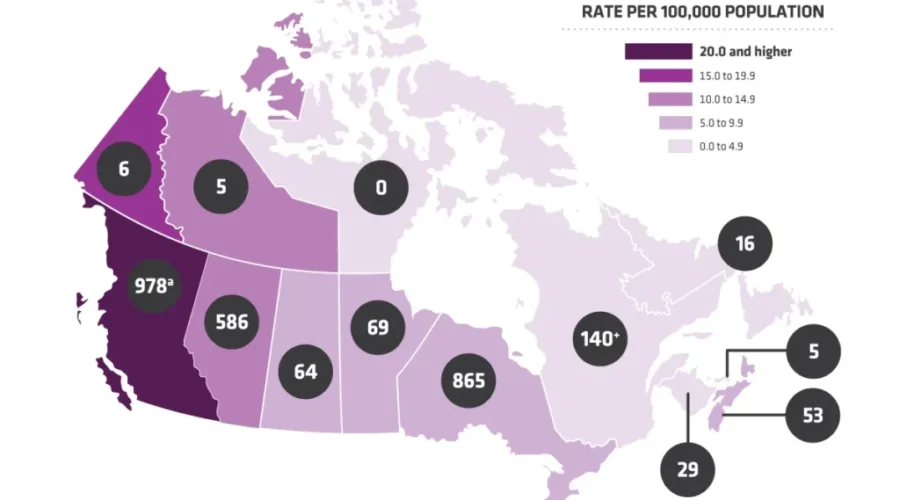 29 Apparent Opioid Related Deaths In New Brunswick In 2016