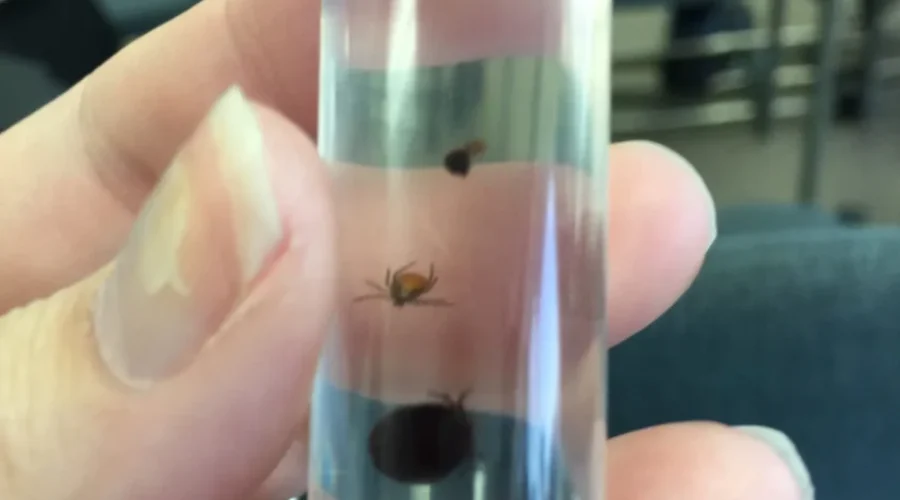 Identifying New Risk Areas for Ticks