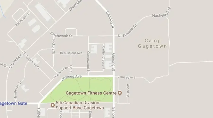 Forest Fire Burning Near Base Gagetown