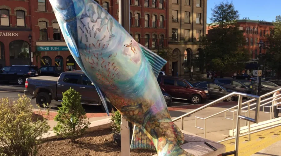 Tour A Variety Of Salmon Sculptures in Saint John