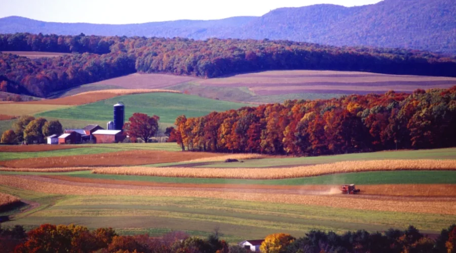 NB Farmers Impacted By Dry Summer