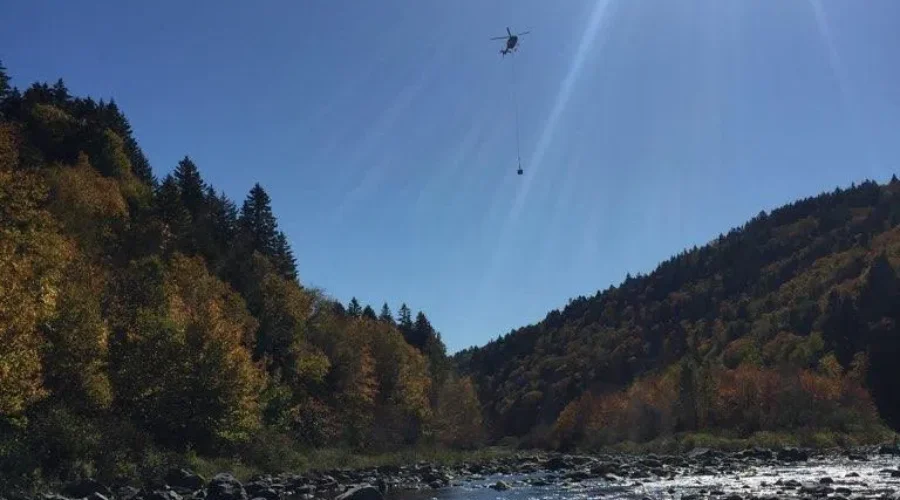 Endangered Wild Atlantic Salmon Returned To Fundy National Park