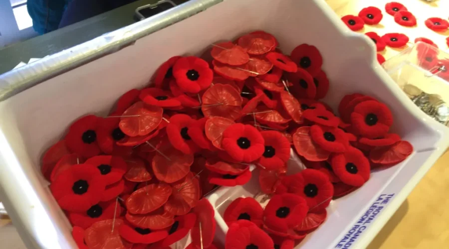 It’s Time To Buy A Poppy Again