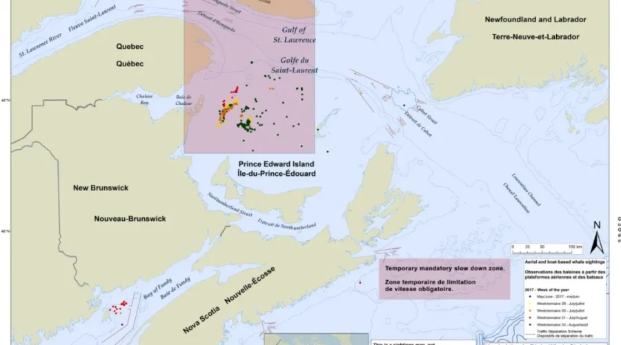 Transport Canada Fines Two More Vessels For Violating Speed Limit In Gulf Of St. Lawrence
