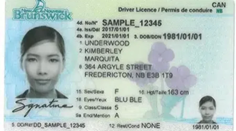 NB Driver’s Licenses Are Changing