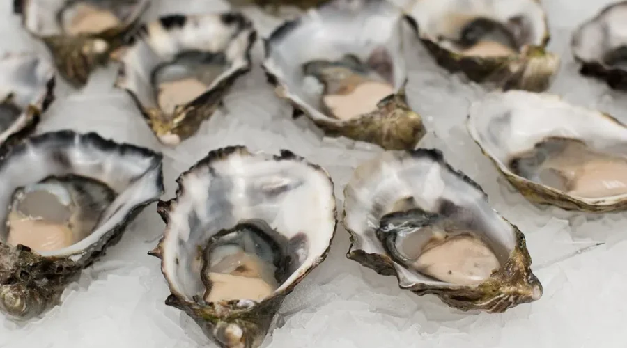 10 N.B. Seafood Companies Taking Part In Trade Events In Asia