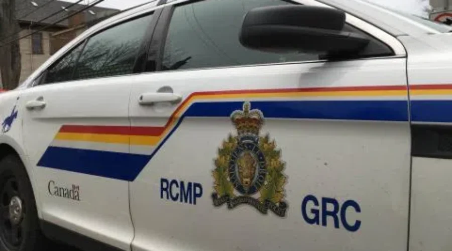 RCMP Asking For Public’s Help After Family Discovers 4 Dead Dogs