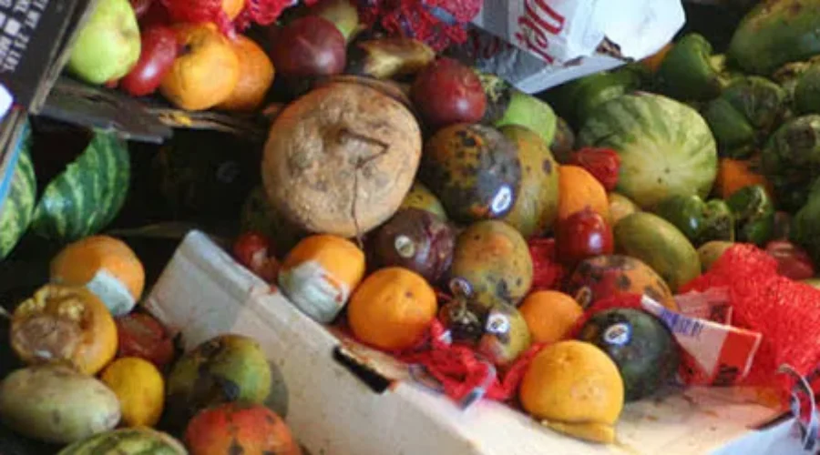 Too Much Good Food Is Being Thrown Away