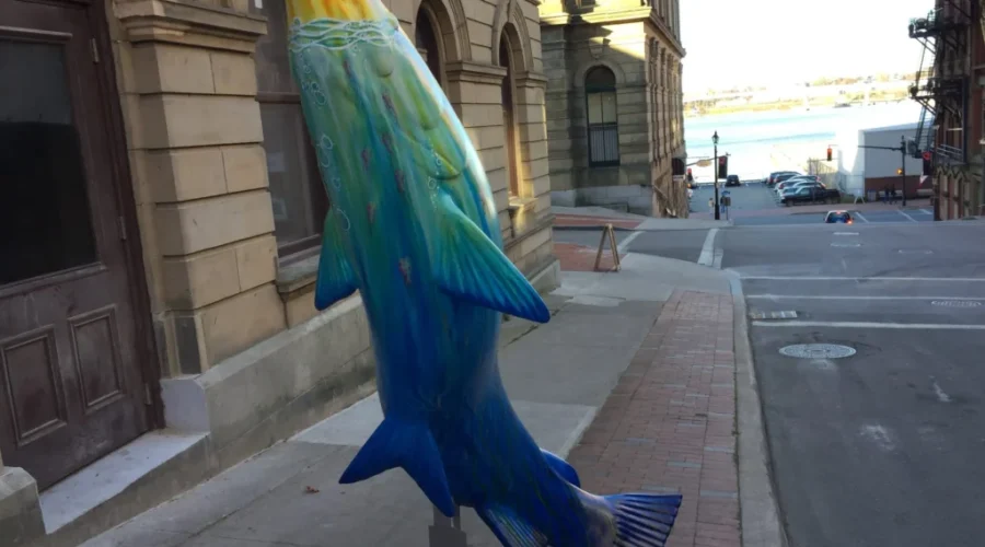 Call For Help After Painted Salmon Sculpture Taken