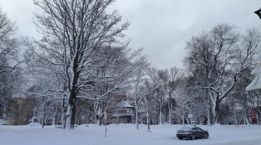 Will We Have A White Christmas?