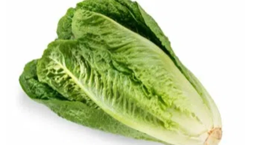 Canadians Asked To Avoid Using Romaine Lettuce, Due To Rising Concern Over E-Coli