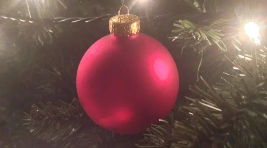 Christmas Tree Drop-Off Locations Open In Greater Saint John