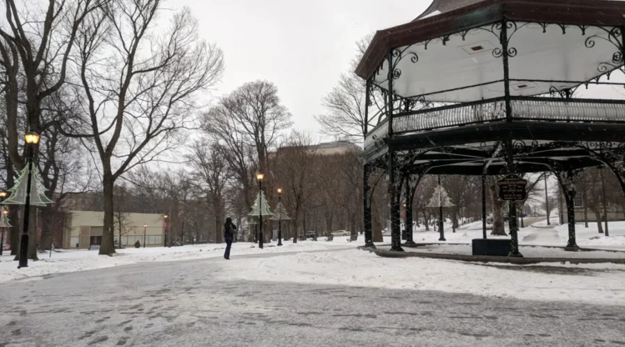 Winter Storm Bringing Messy Mix Of Weather To Saint John