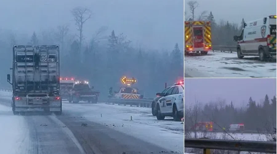 64-Year-Old Petitcodiac Man Dies In Crash