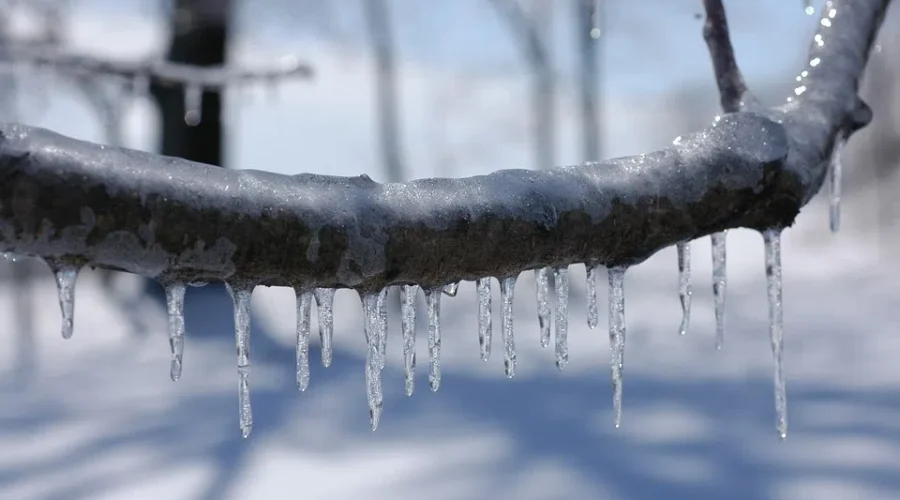 Winter Storm Cancellations