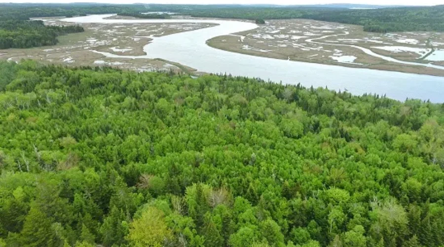 It Is World Wetlands Day