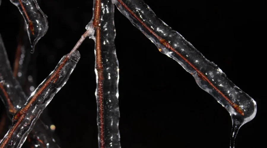 Freezing Rain Warning For Much Of New Brunswick