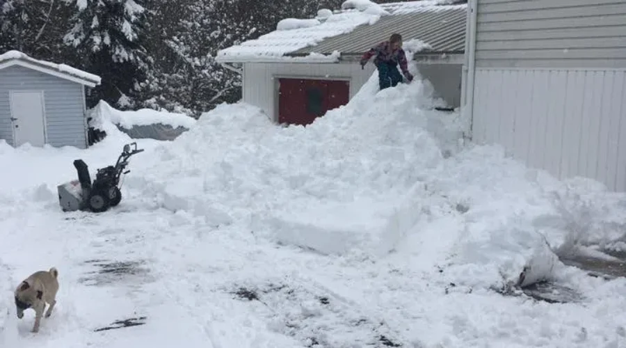 A Welsford Woman Thought The Earthquake Was Her Deck Collapsing