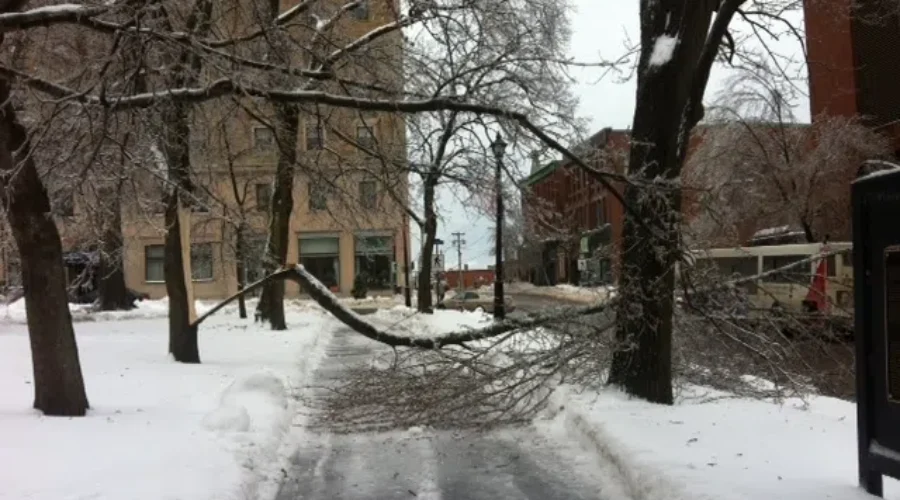 Nearly 4000 Without Power Across The Province