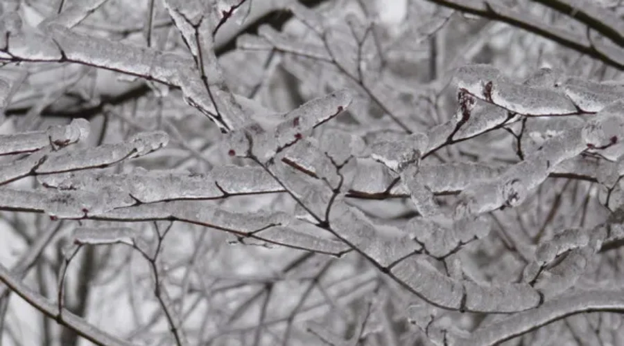 One More Small Blast Of Winter Expected